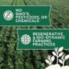 A lush green field of Yellow Canary Beans, with one banner: No GMO’s, Pesticides, or Chemicals and a forbidden flask icon, and another: Regenerative & Bio-Dynamic Farming Practices with a globe icon.