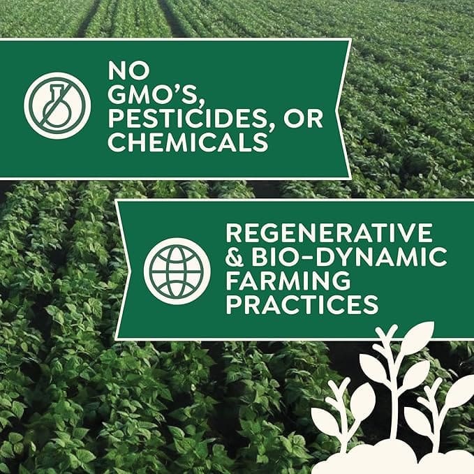 A lush green field of Yellow Canary Beans, with one banner: No GMO’s, Pesticides, or Chemicals and a forbidden flask icon, and another: Regenerative & Bio-Dynamic Farming Practices with a globe icon.