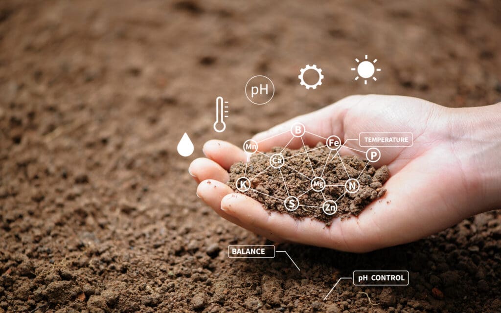 A hand holds soil, with digital icons representing elements like pH, temperature, and minerals such as Fe, Ca, and Zn. The background showcases a field of brown soil, underscoring concepts of organic farming and soil health essential for maintaining balance and biodiversity.