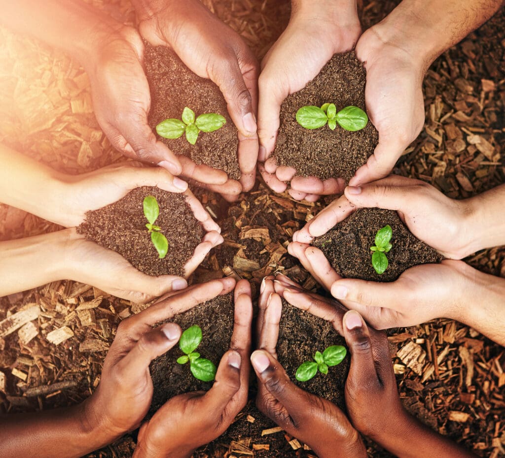 Diverse hands holding soil with small green seedlings arranged in a circular pattern over a background of wood chips, symbolizing unity and growth, highlight the importance of soil health.