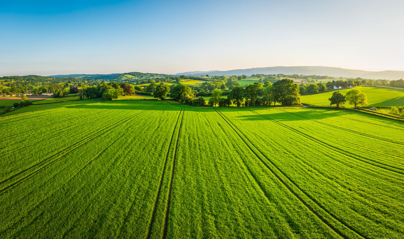 A vast, sunny landscape reveals green fields with patterned rows, promoting organic farming and dotted with trees. Rolling hills enhance the biodiversity in the background under a clear blue sky.