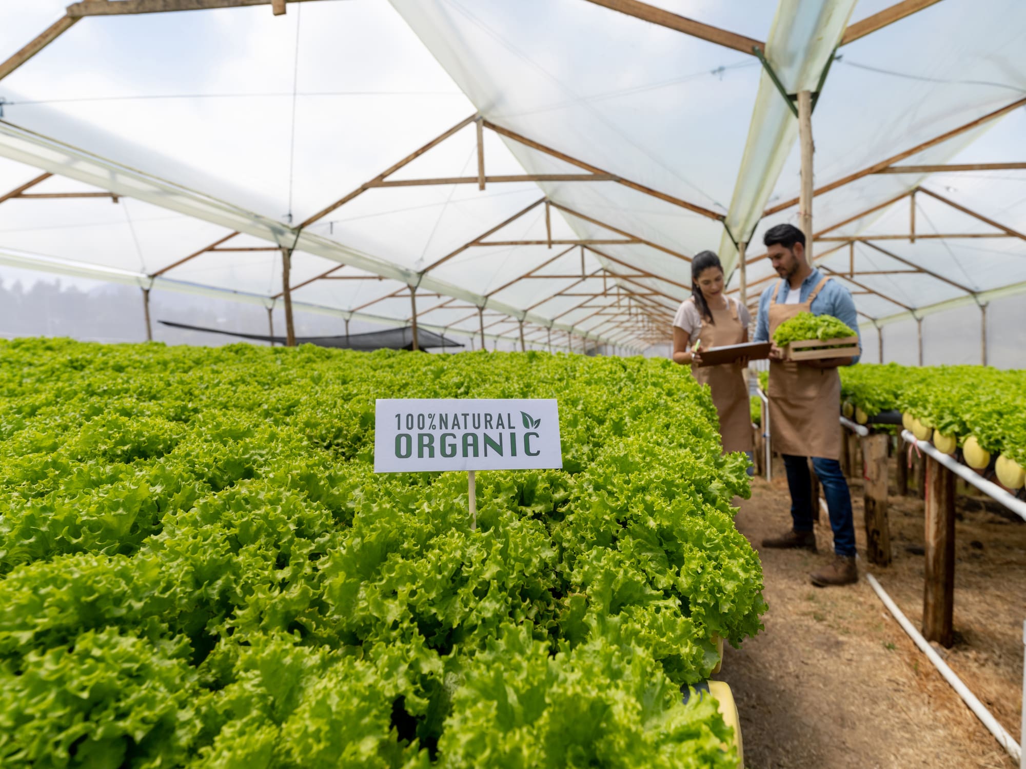 Why Organic Farming Standards Matter | Doudlah Farms WI