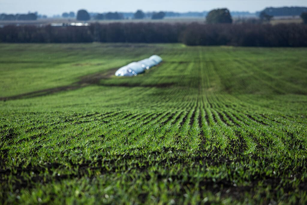 Lush green regenerative farmland with rows of young crops, illustrating sustainable farming practices and soil health improvement.