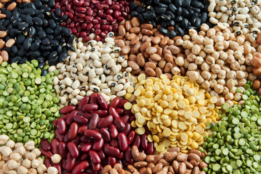 A colorful assortment of beans, including black beans, kidney beans, chickpeas, and lentils, showcasing their variety and health benefits as a nutrient-dense superfood.