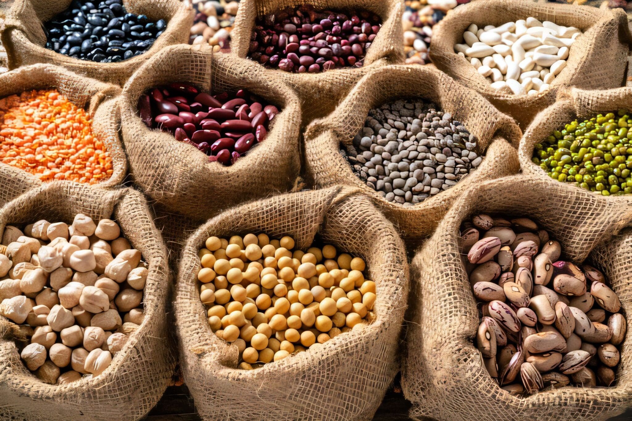 Assorted organic beans from Doudlah Farms displayed in burlap sacks, including black beans, red kidney beans, chickpeas, lentils, and soybeans.