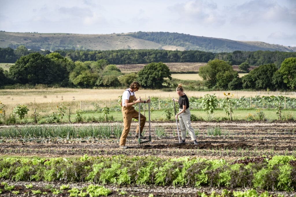 Two farmers working in a regenerative farm using sustainable agriculture techniques like no-till farming and biodiversity to restore soil health.
