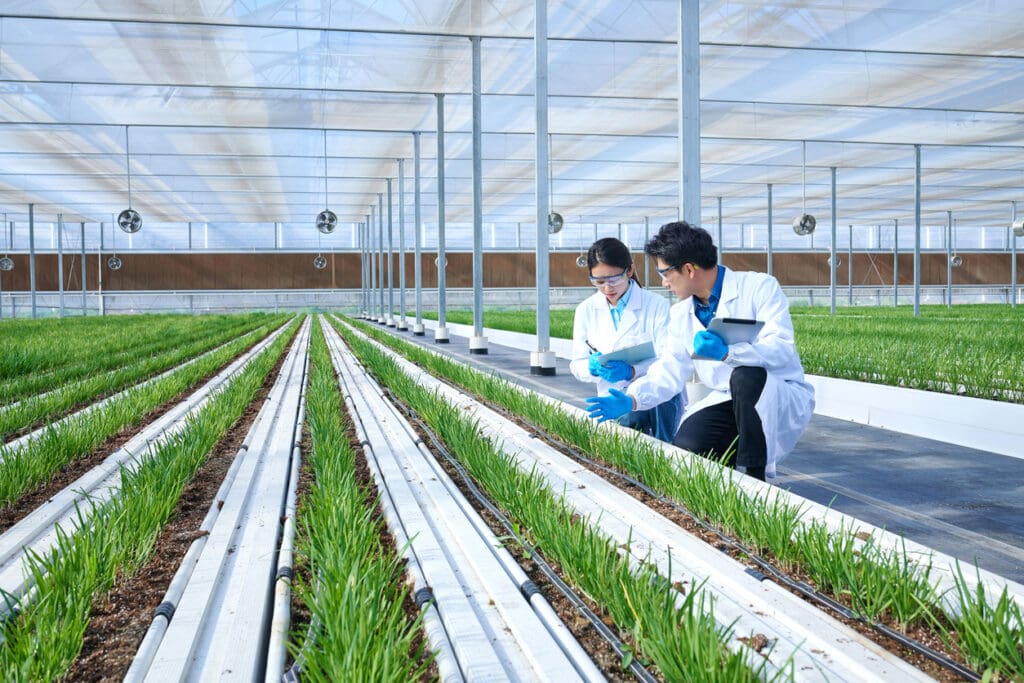 Scientists in a greenhouse researching sustainable farming methods to reduce greenhouse gas emissions and improve agricultural sustainability.