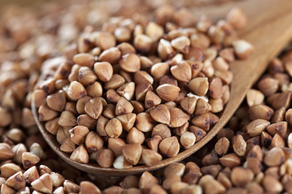 Buckwheat is a gluten-free superfood that supports digestion, gut health, and overall well-being—perfect for those with gluten sensitivity or celiac disease.