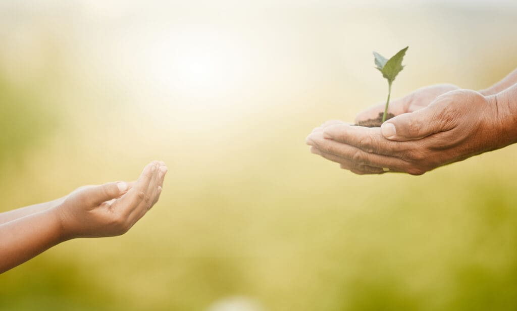 A childs outstretched hand reaches towards an adults hands holding a small plant, embodying the transition of skills and care toward future generations, much like the sustainable practices at Doudlah Farms against a blurred green background.