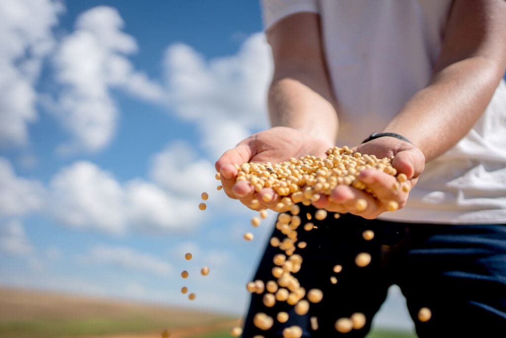 A person in a white shirt holds and pours beans from their hands outdoors, with a blue sky and clouds in the background—highlighting beans natural benefits for digestion.