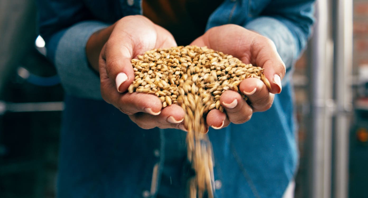 Close-up of hands gently letting fall a handful of organic barley grains. The person, in a denim shirt, allows the nutrient-rich grains to spill through their fingers against a blurred industrial background, highlighting why it matters for our health.