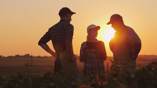 Three people wearing caps and plaid shirts stand in a field at sunset, discussing something while one holds a tablet. The sun is low in the sky, casting a warm orange light over the scene.