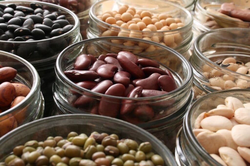 An assortment of dried beans of various types and colors displayed in glass jars, arranged closely together in rows.
