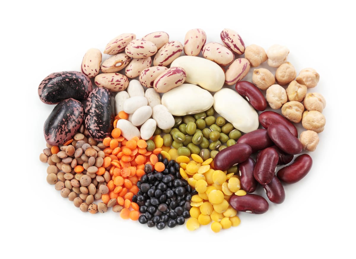 A variety of colorful dried beans and lentils, known for their rich bean nutrition, including kidney beans, chickpeas, black beans, green mung beans, yellow and orange lentils, arranged in a circular pattern on a white background.