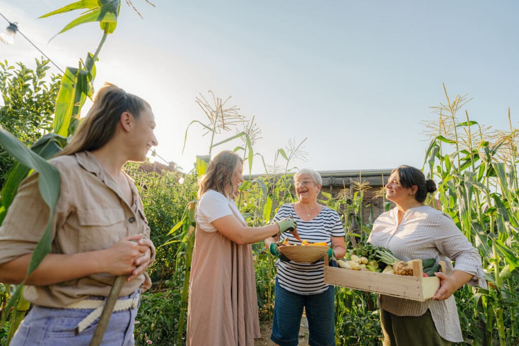 Four women stand together in a sunny cornfield, smiling and talking. One holds a box of vegetables, another a basket, as they harvest fresh produce—partnering for change with Doudlah Farms and Moms Across America.