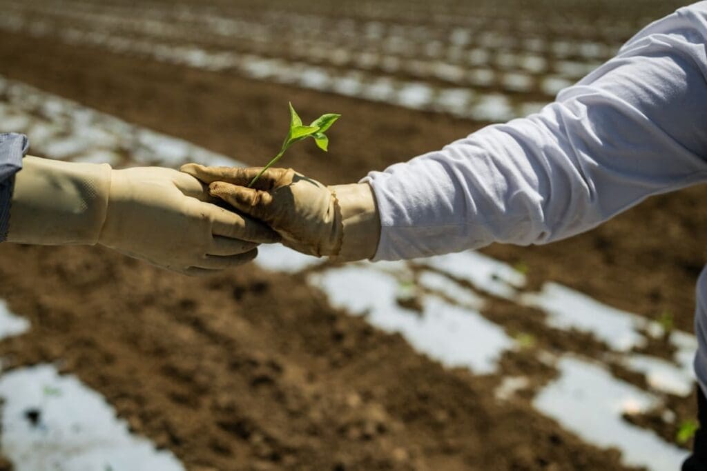 Two people wearing gloves exchange a small green seedling at Doudlah Farms, with rows of soil and young plants in the background, showcasing their commitment to partnering for change in sustainable agriculture.