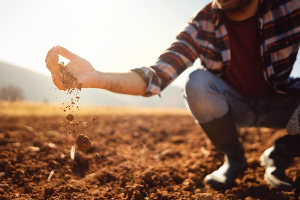 A person in a plaid shirt and boots crouches on a sunlit field, letting soil fall through their fingers, inspecting the earth. The background is blurry with warm sunlight and distant hills.