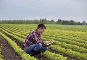Understanding USDA Organic Standards: What It Really Means