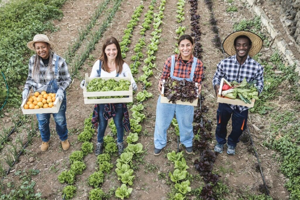 Four smiling people stand in a vegetable garden, each holding a crate filled with freshly harvested produce such as lettuce, oranges, and other vegetables. Rows of green plants grow in the soil behind them.
