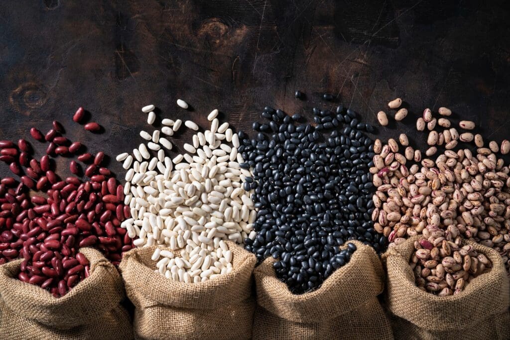 Types of Beans and Their Nutritional Value