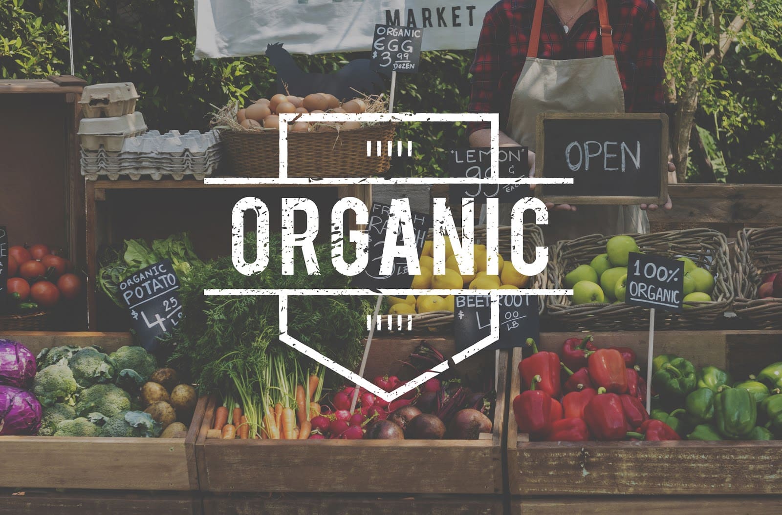 Organic Farming Benefits: Why It's Better for Your Health and the Planet