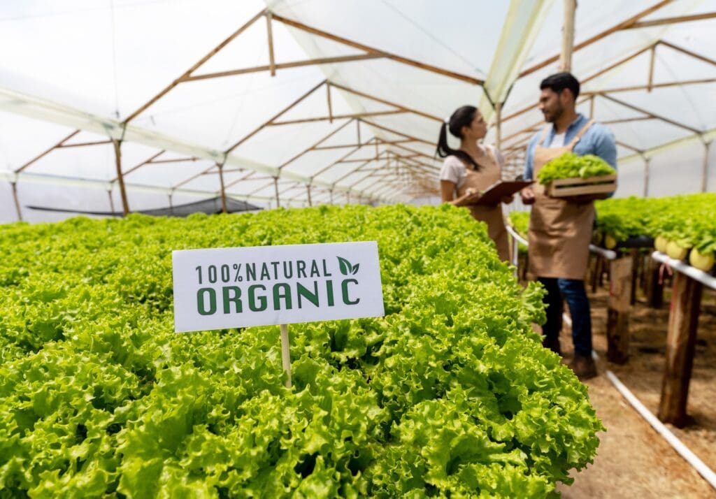 Why Soil Health Matters