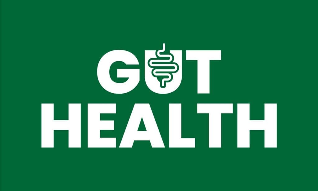 Why Your Gut Will Love Buckwheat and Its Digestive Benefits