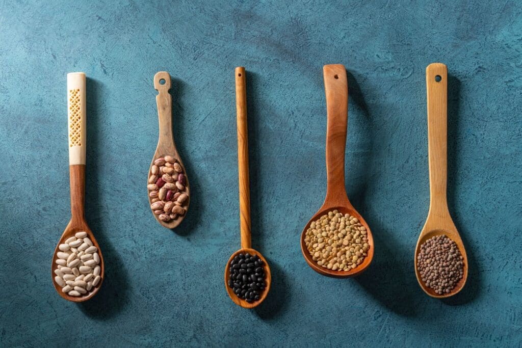 Popular Types of Beans and Their Protein Profiles