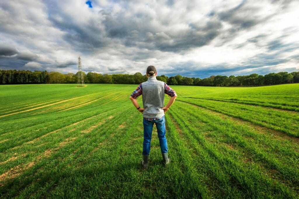 Contract Farming: Who Holds the Power?