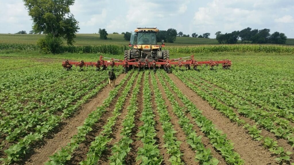 A tractor cultivates rows of green crops in a field under a partly cloudy sky, with trees and farmland visible in the background.