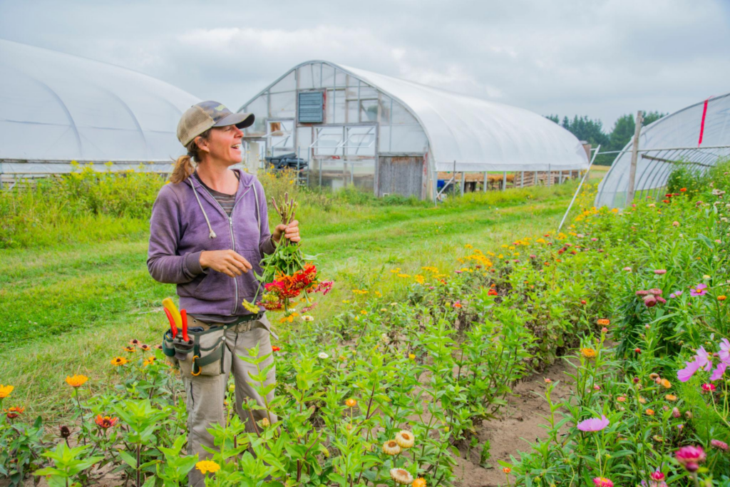 A person wearing a cap, purple hoodie, and tool belt stands in a colorful flower garden focused on soil health and biodiversity, holding freshly picked flowers, with greenhouses in the background on a cloudy day.