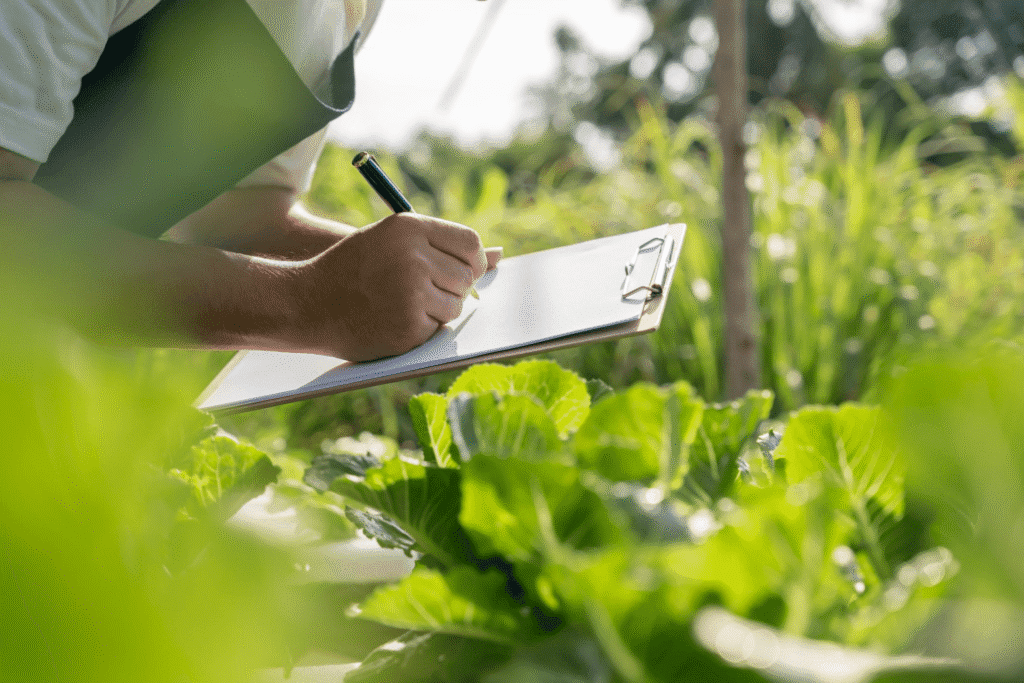 A person in an apron writes on a clipboard while inspecting green leafy plants in a sunlit garden, surrounded by lush vegetation—showcasing the careful monitoring essential in organic farming amid the unique farming challenges faced daily.