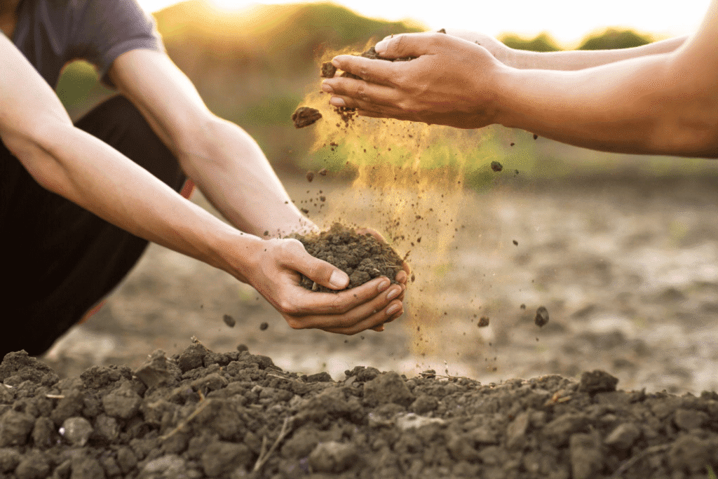 Two people's hands holding and sifting soil over a dry, earthy field with sunlight in the background, suggesting organic farming or soil examination.