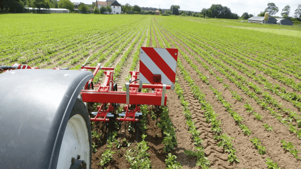 A tractor with a red and white striped attachment cultivates a green, evenly planted field under a partly cloudy sky, highlighting organic farming work with farm buildings and trees visible in the background.