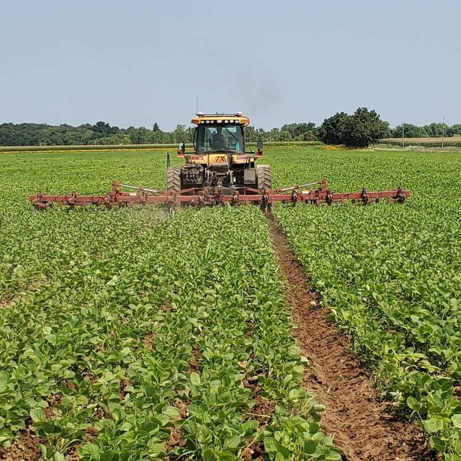 A tractor with a large cultivator attachment moves through a green crop field under a clear blue sky, tilling the soil between rows of plants. Trees and distant farmland are visible in the background.